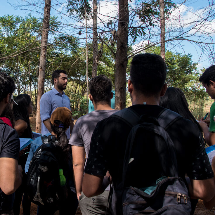 Professores Programa de Pós graduação em Ciências Florestais UFMG